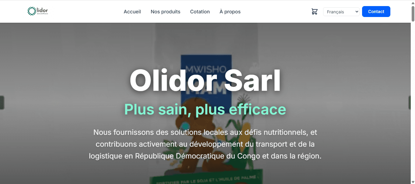 Preview of Olidor Sarl 